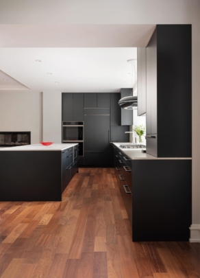 Modern Kitchen Renovation