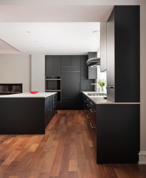 Modern Kitchen Renovation