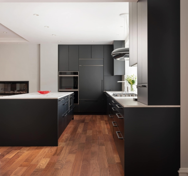 Modern Kitchen Renovation